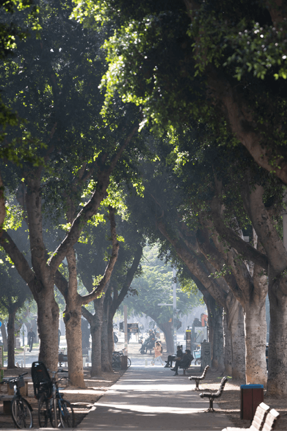 Levinsky And Rothschild Studios at David Minnick blog