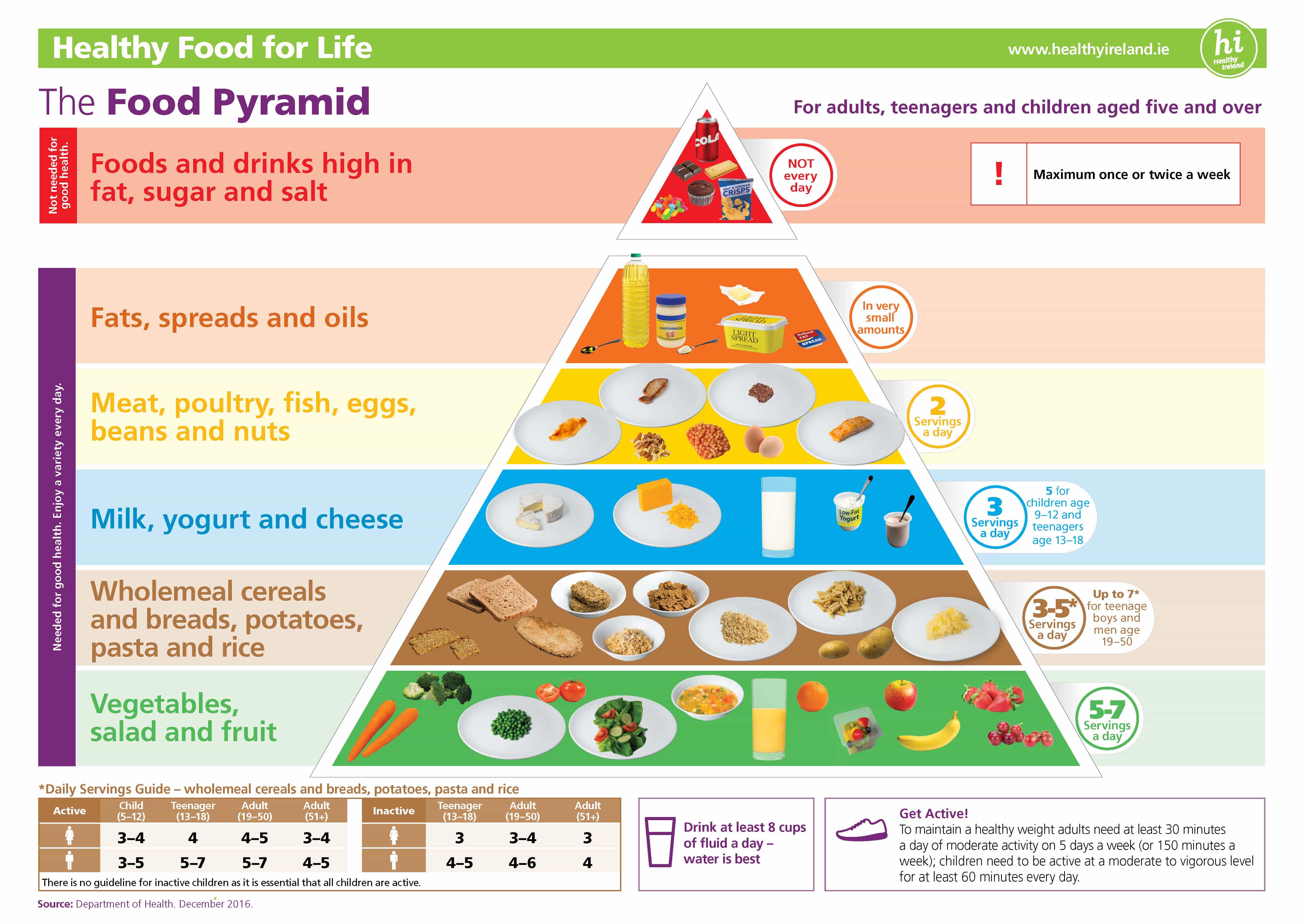 FoodPyramidSimpleversion rotunda