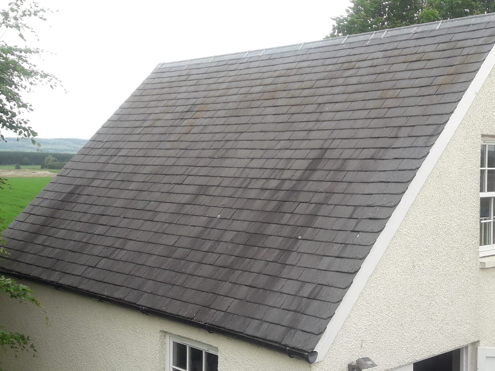Roof & Slate Cleaning Roughcast Cleaning
