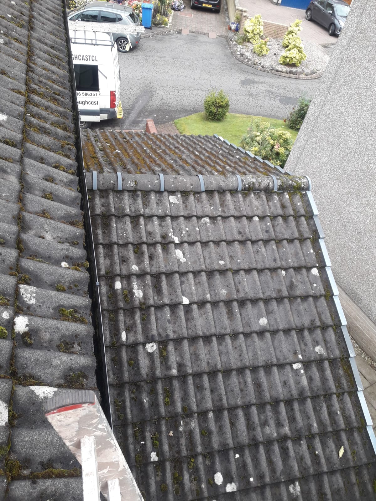 Roof & Slate Cleaning Roughcast Cleaning