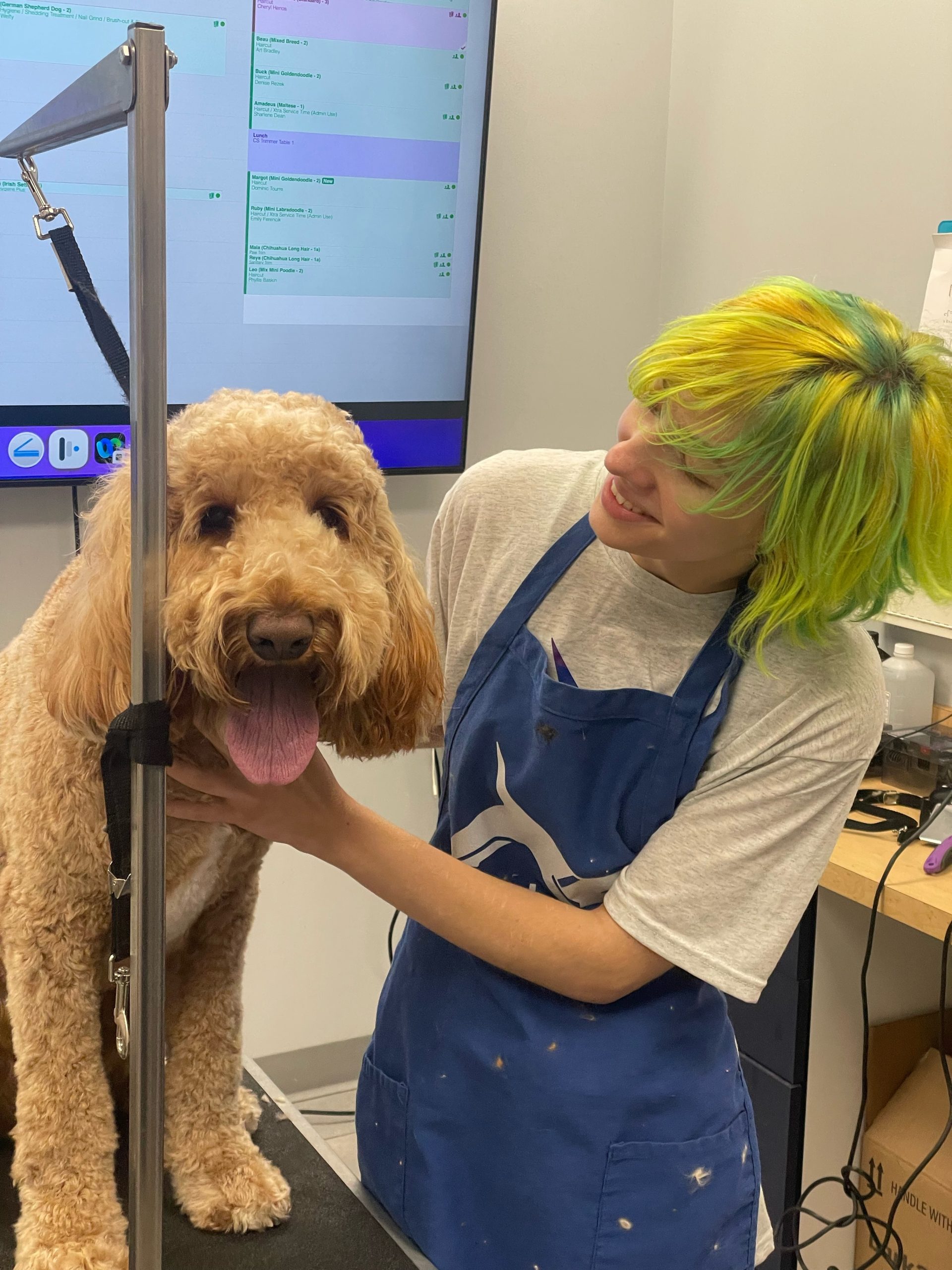Pride Month How this Atlanta dog grooming service has created such a