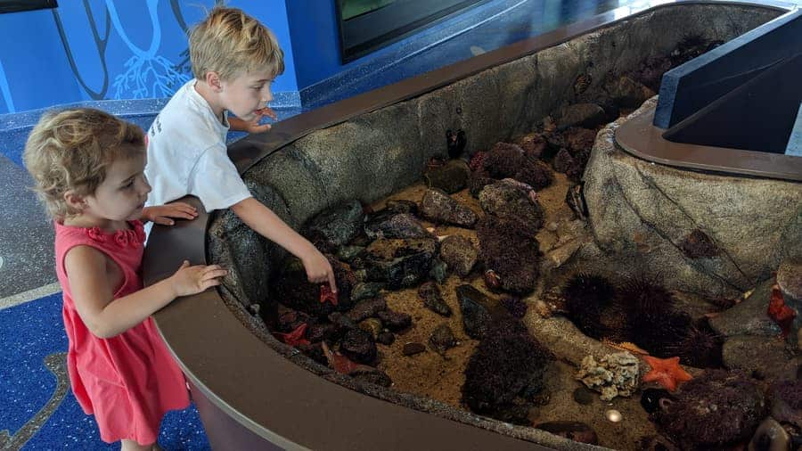 Roundhouse Aquarium Roundhouse Aquarium Teaching Center Manhattan