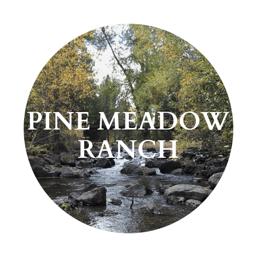 Supporting Creative Thinking Roundhouse Foundation