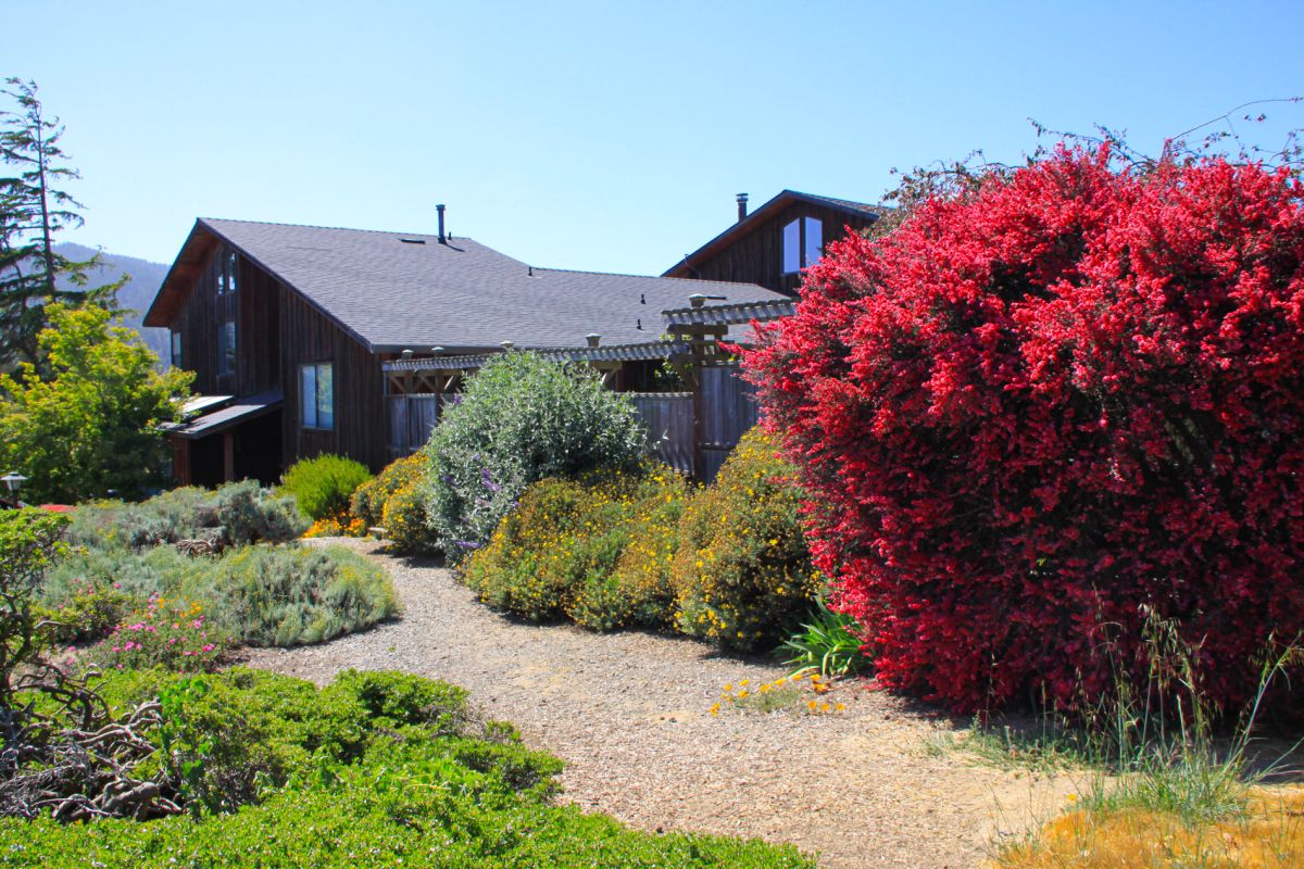 Pt Reyes Lodging Inn at Roundstone Farm Bed and Breakfast Point