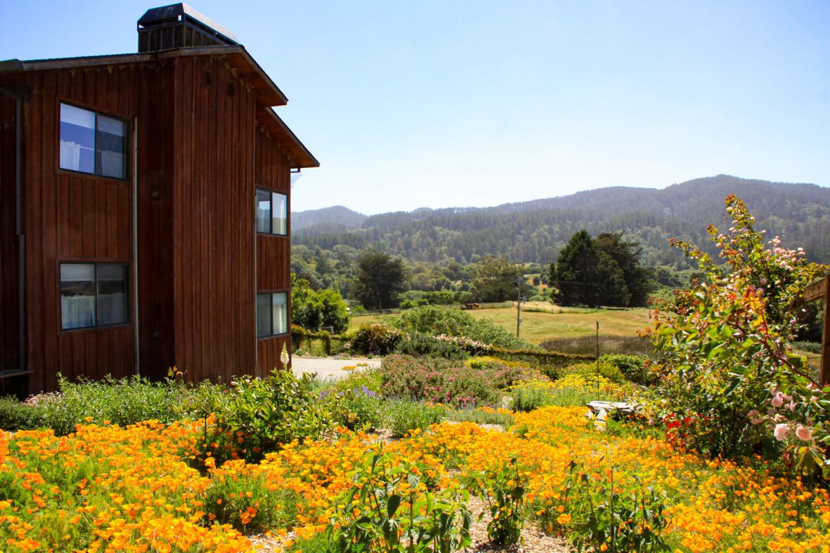 Pt Reyes Lodging Inn at Roundstone Farm Bed and Breakfast Point