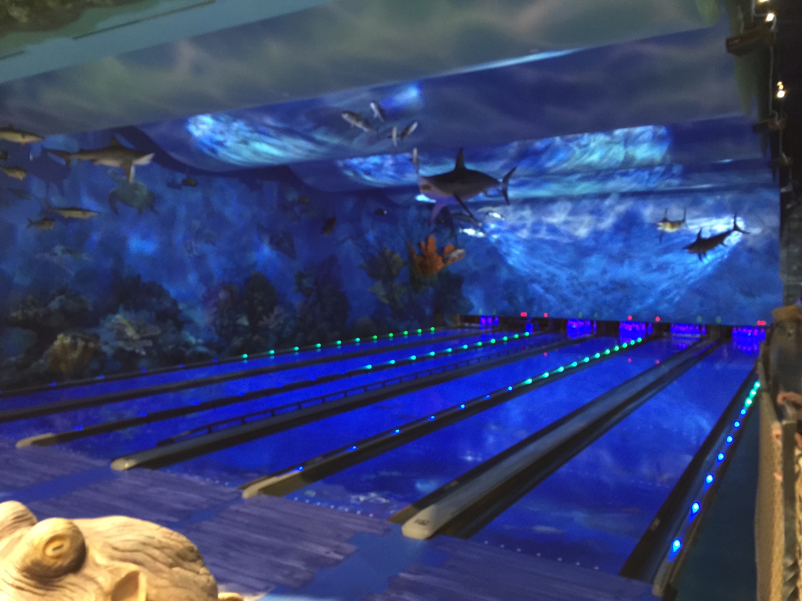 Bass Pro Shops Round Rock Grand Opening Bowling Alley