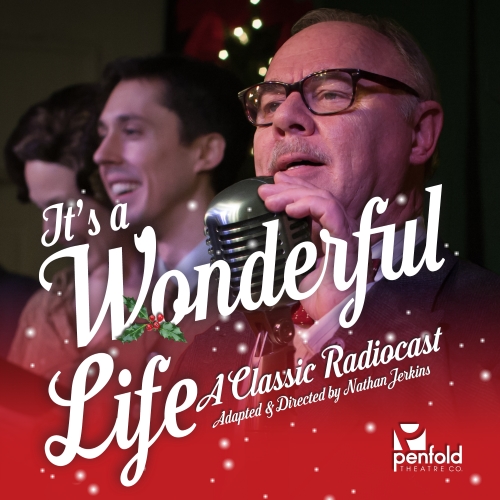 Holiday Lights Christmas Lights Round Rock, Texas