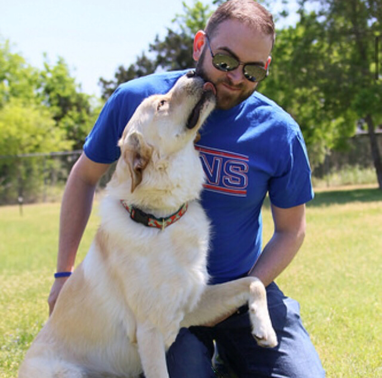 National Adopt A Shelter Pet Day Five Reasons to Adopt a Shelter Pet