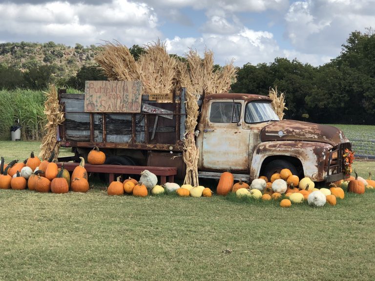 6 Fall Farms in Central Texas Worth the Driveto! Round the Rock