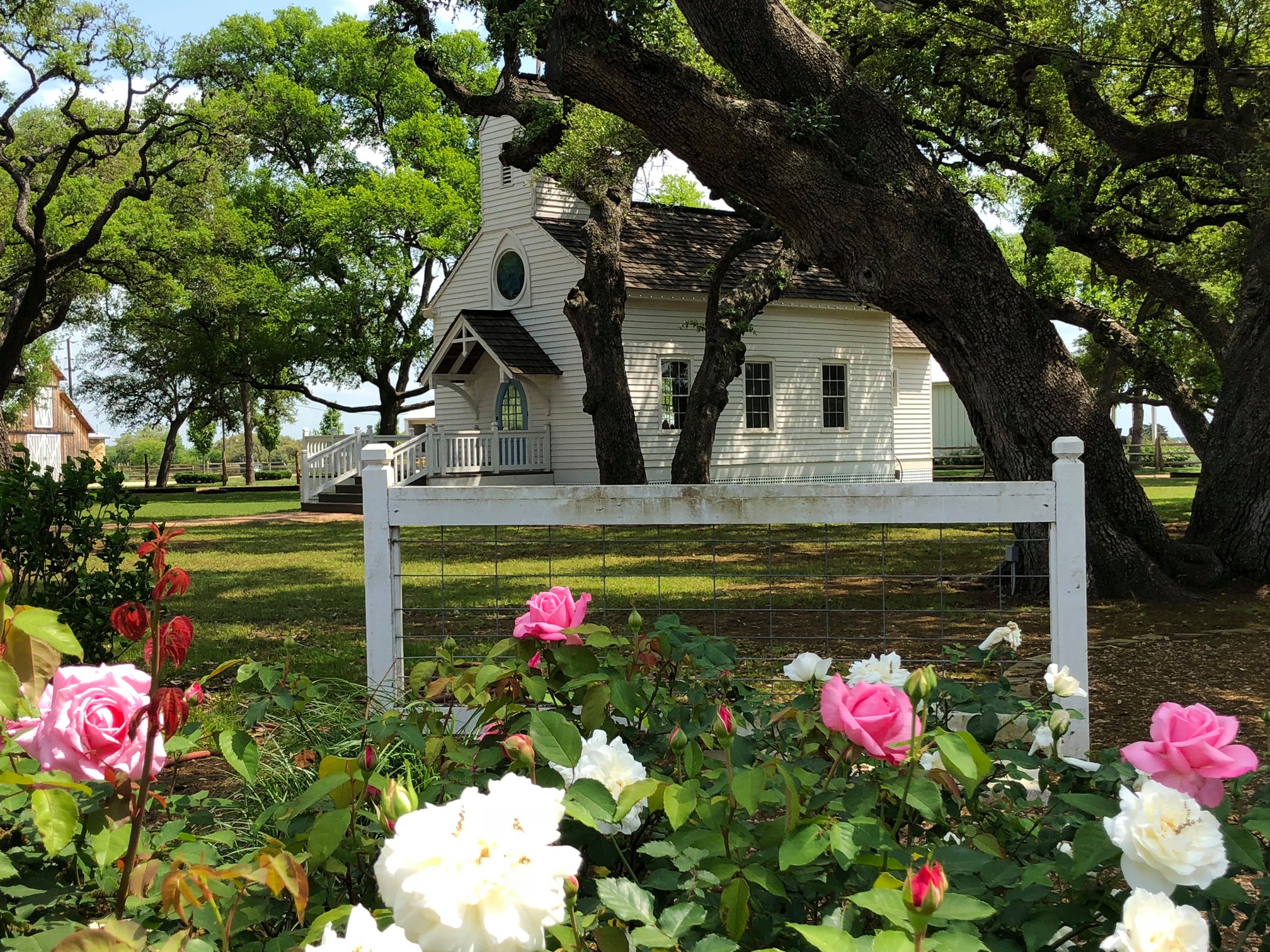 Opening Reception for Saint Cecilia's Round Top