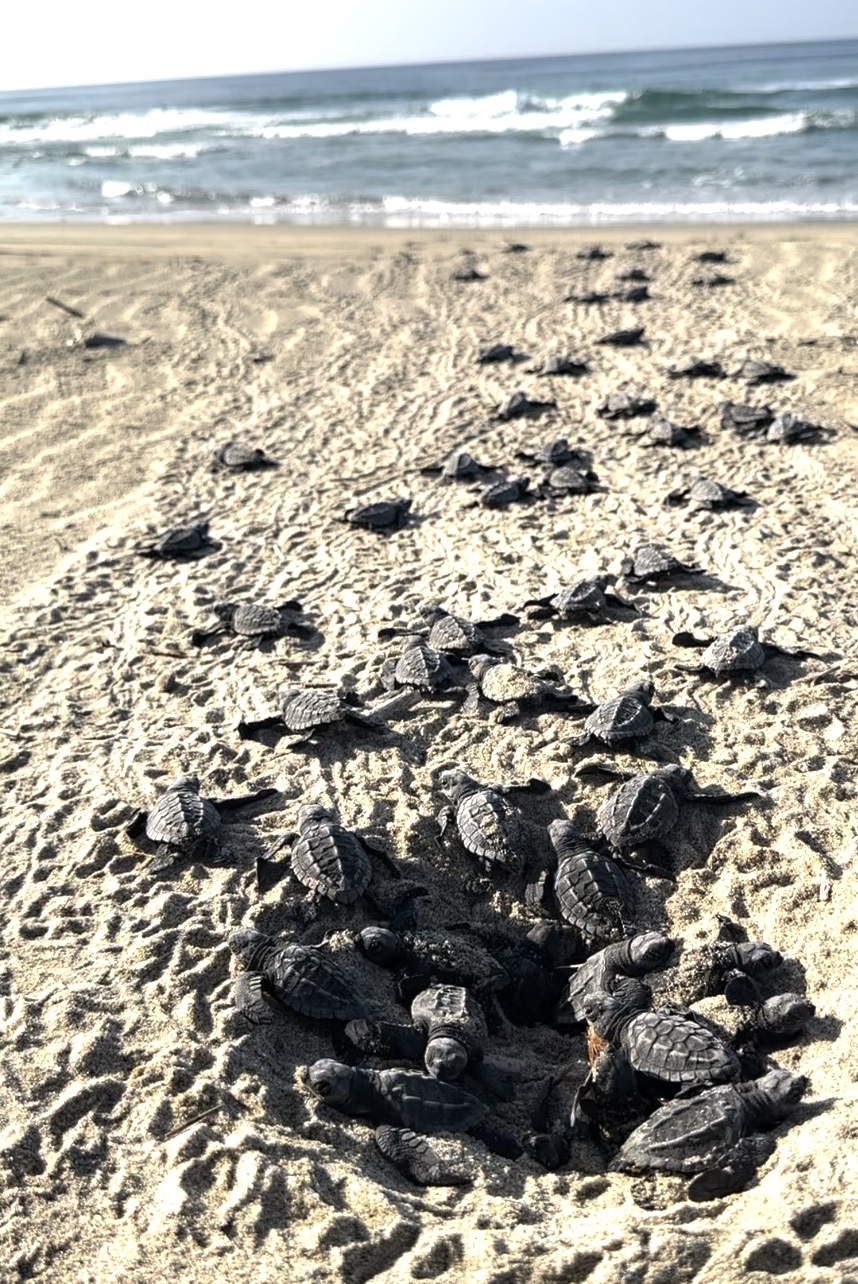 Remembering Cisco Pinedo The Passing Of the Cisco Home Founder Stuns