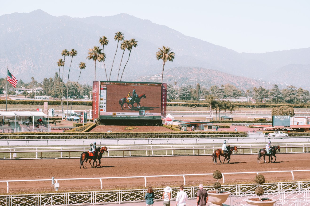 Santa Anita Race Track Horses Round Trip Weekend