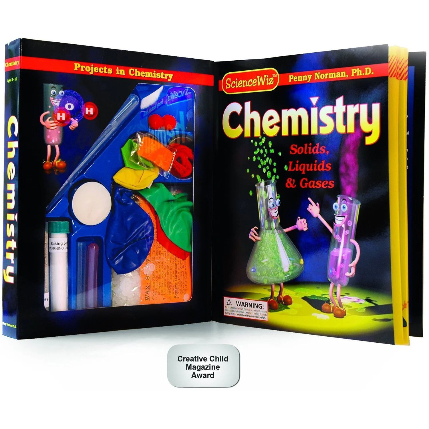 ScienceWiz Chemistry 29 Activities Kids Educational Science Book