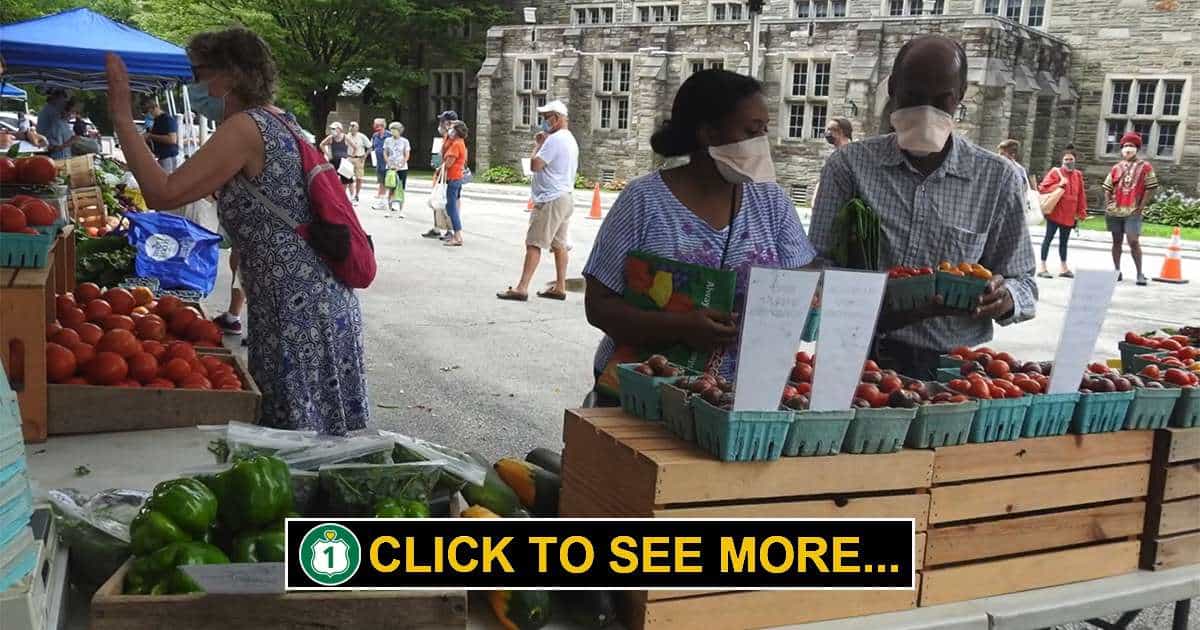 Overbrook Farmers Market Route 1 Views