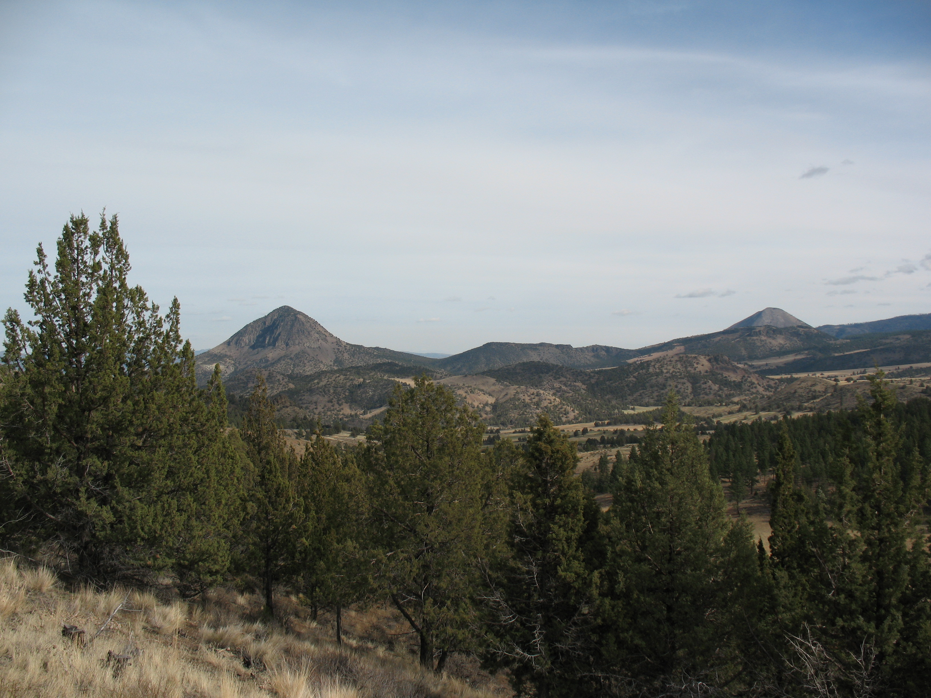 Route 66 Dispatch Notes From The Mother Road