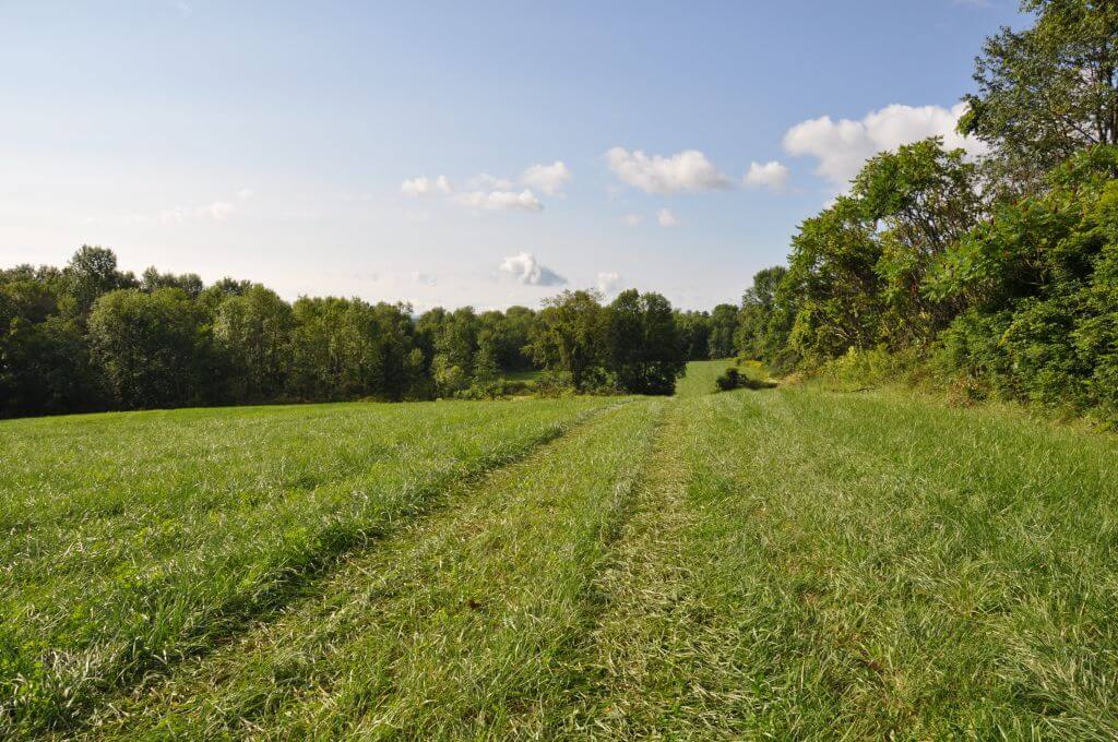 Lots 7 and 7A in Kingsbury, Washington County, New York KJ Hemmert