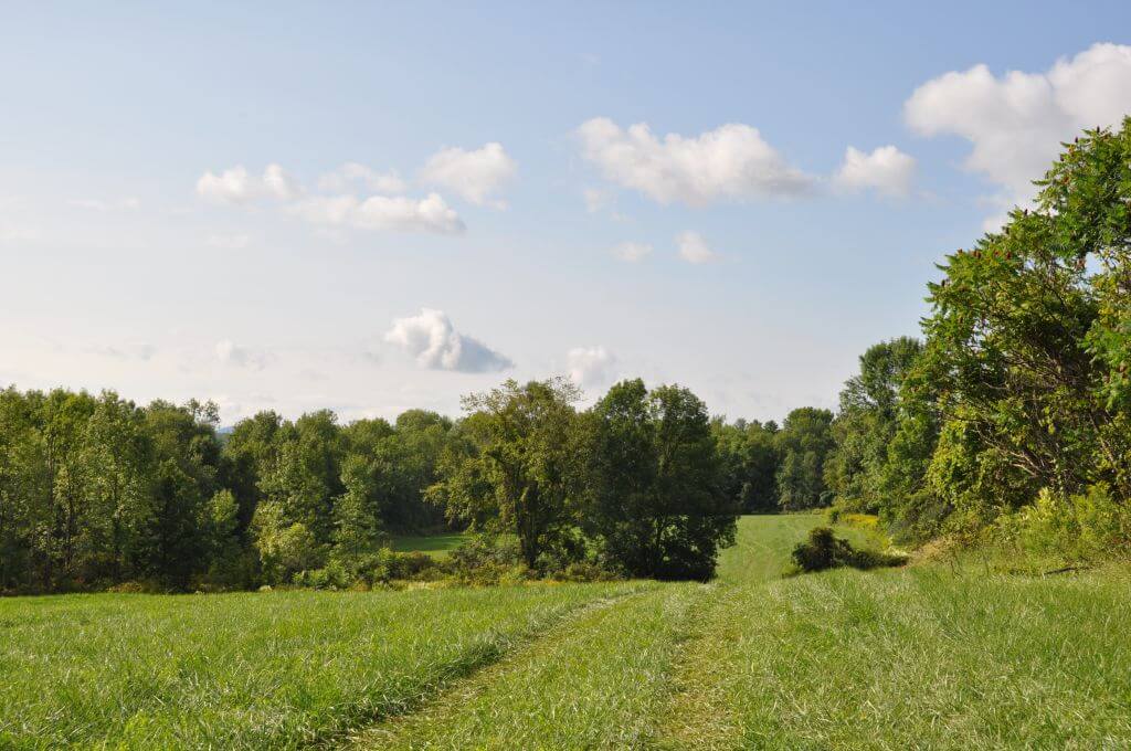 Lots 7 and 7A in Kingsbury, Washington County, New York KJ Hemmert