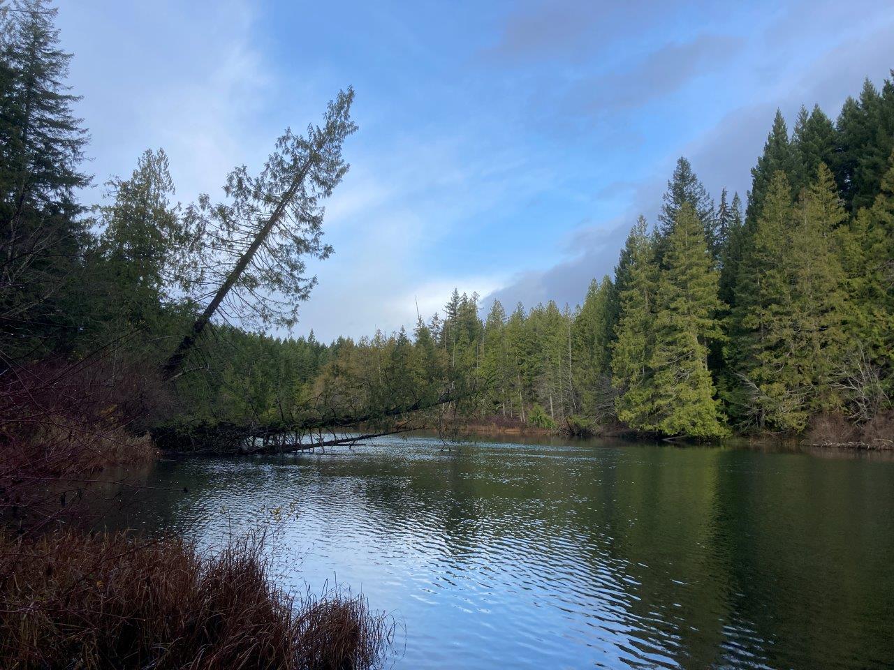 Comox Lake Camping, Hiking and Biking on Vancouver Island Routinely