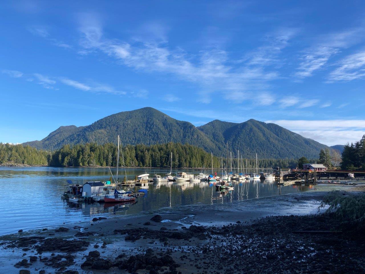 Camping in Tofino 12 Great Tofino Campgrounds Routinely Nomadic