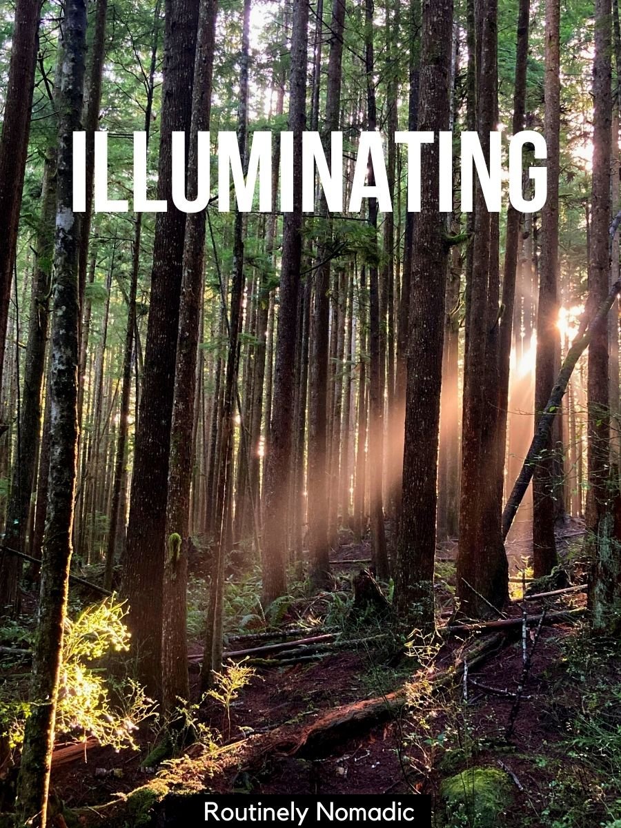 80 Best Captions for Nature Photography and Quotes Routinely Nomadic