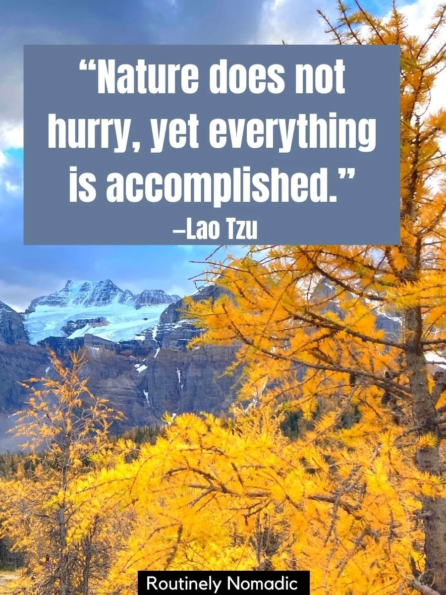 53 Short Nature Quotes Best Inspirational Thoughts on Nature