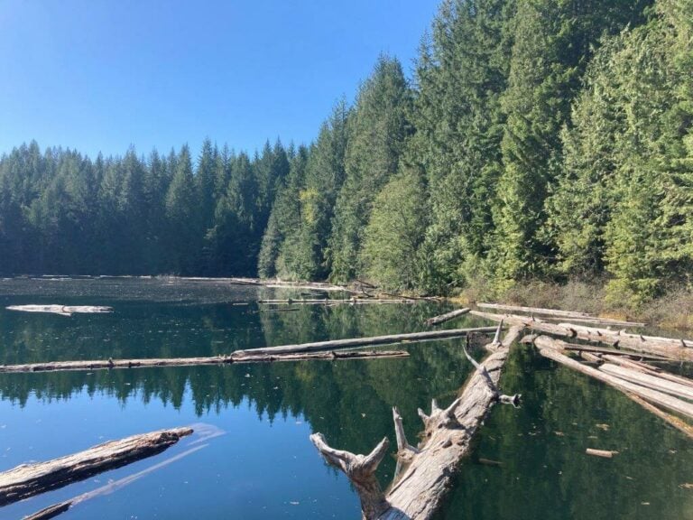 Cat Lake Squamish’s Wonderful Summer Playground Routinely Nomadic