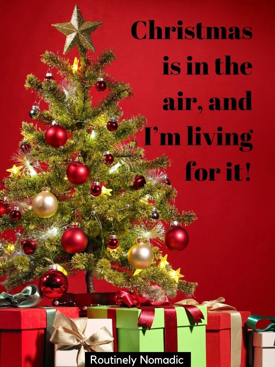 Perfect Christmas Captions for a Merry Holiday Season Routinely Nomadic