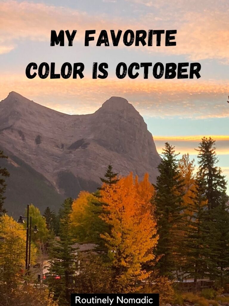 250 Fall Captions Perfect Autumn Captions for 2021 Routinely Nomadic