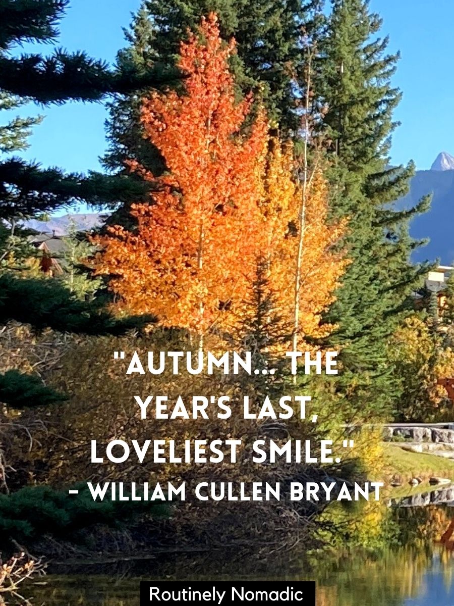 Short Fall Quotes 75 Amazing Short Autumn Quotes Routinely Nomadic