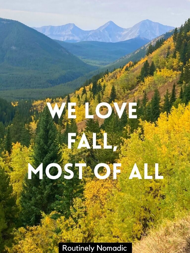 100 Cute Fall Couple Captions Routinely Nomadic