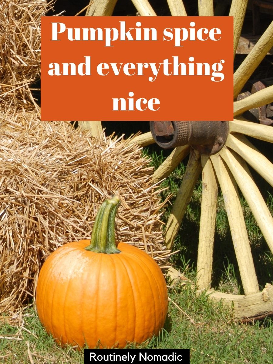 250 Fall Captions Perfect Autumn Captions Routinely Nomadic