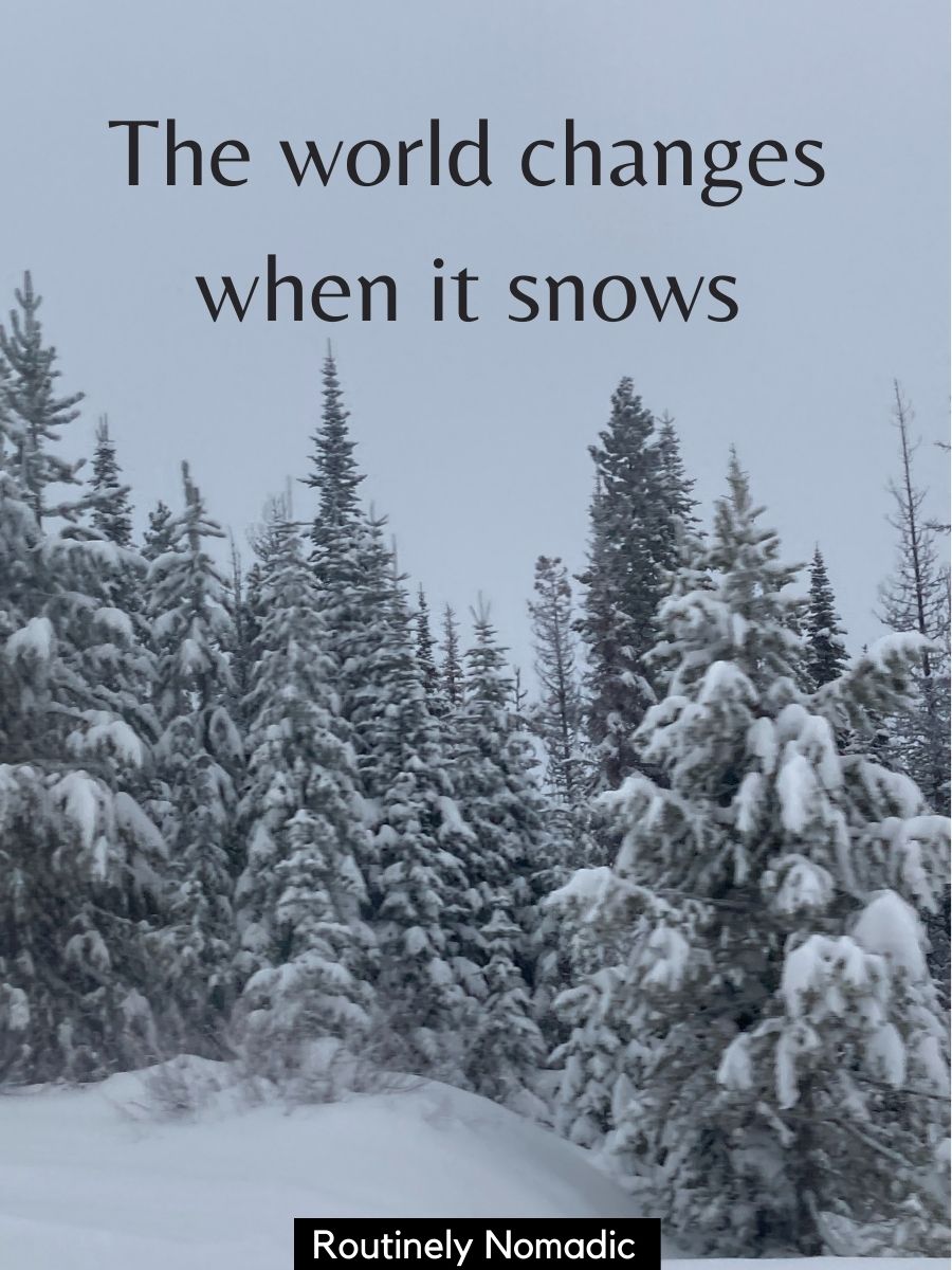 145 Chilly Snow Instagram Captions and Snow Puns Routinely Nomadic