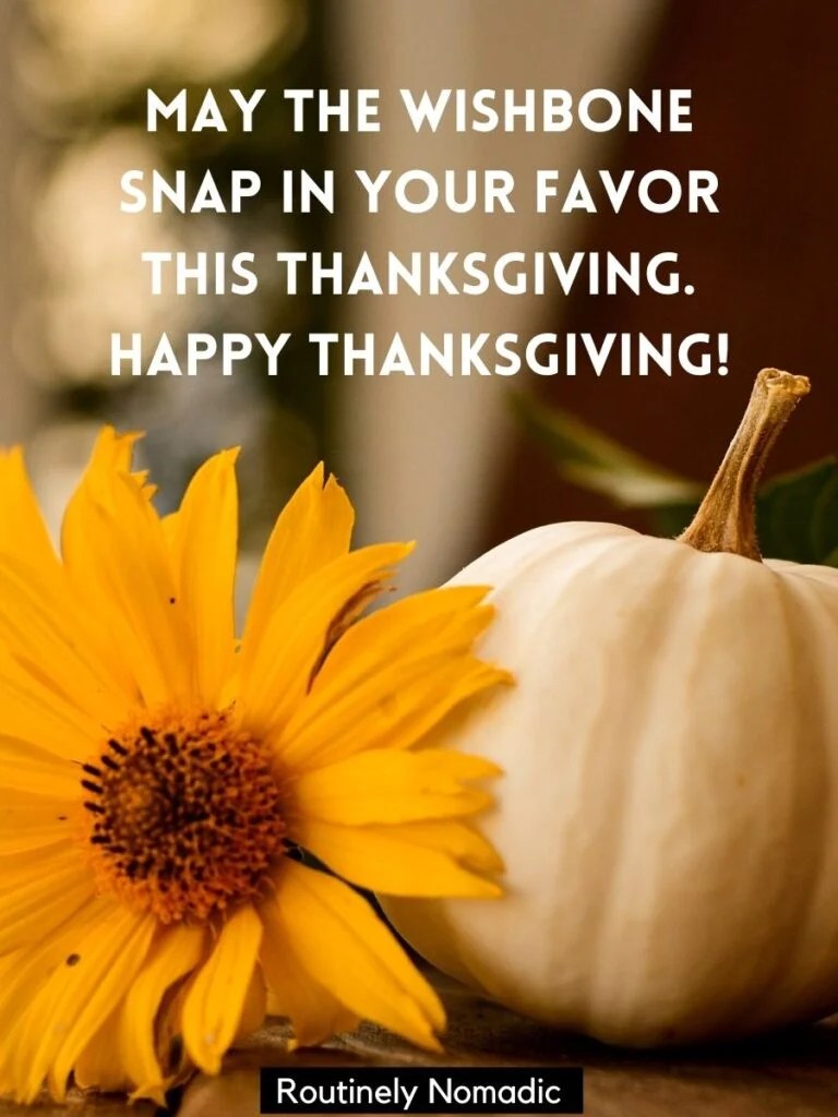 Thanksgiving Quotes