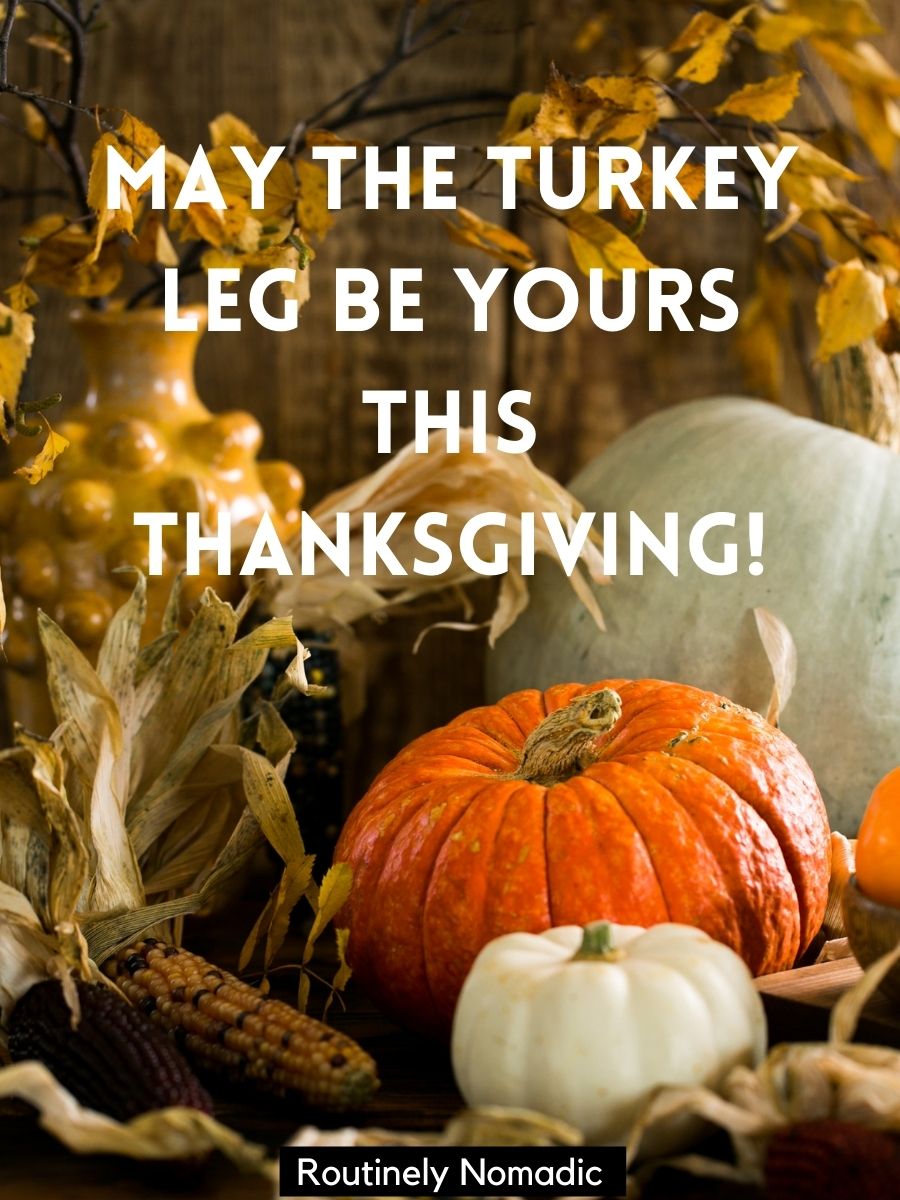 Funny Thanksgiving Quotes 120 Funny Thanksgiving Sayings and Wishes Routinely Nomadic
