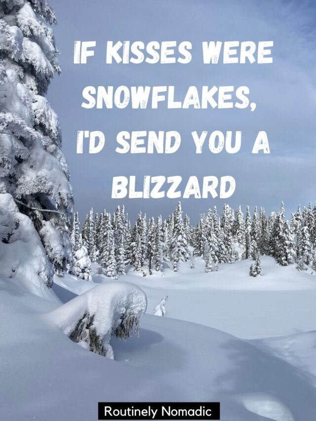Snowflake Quotes 110 Best Snowflake Sayings Routinely Nomadic