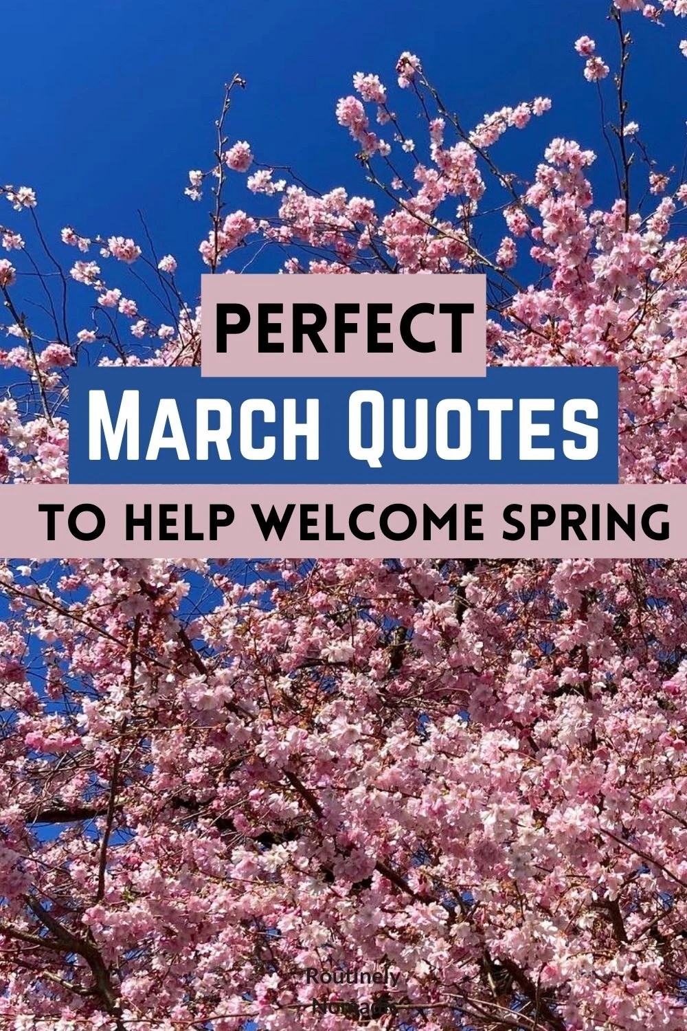 160 Perfect March Quotes for 2023 Routinely Nomadic