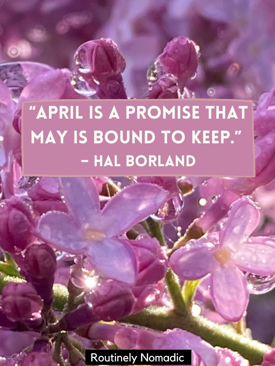 Perfect April Quotes for 2023 Routinely Nomadic