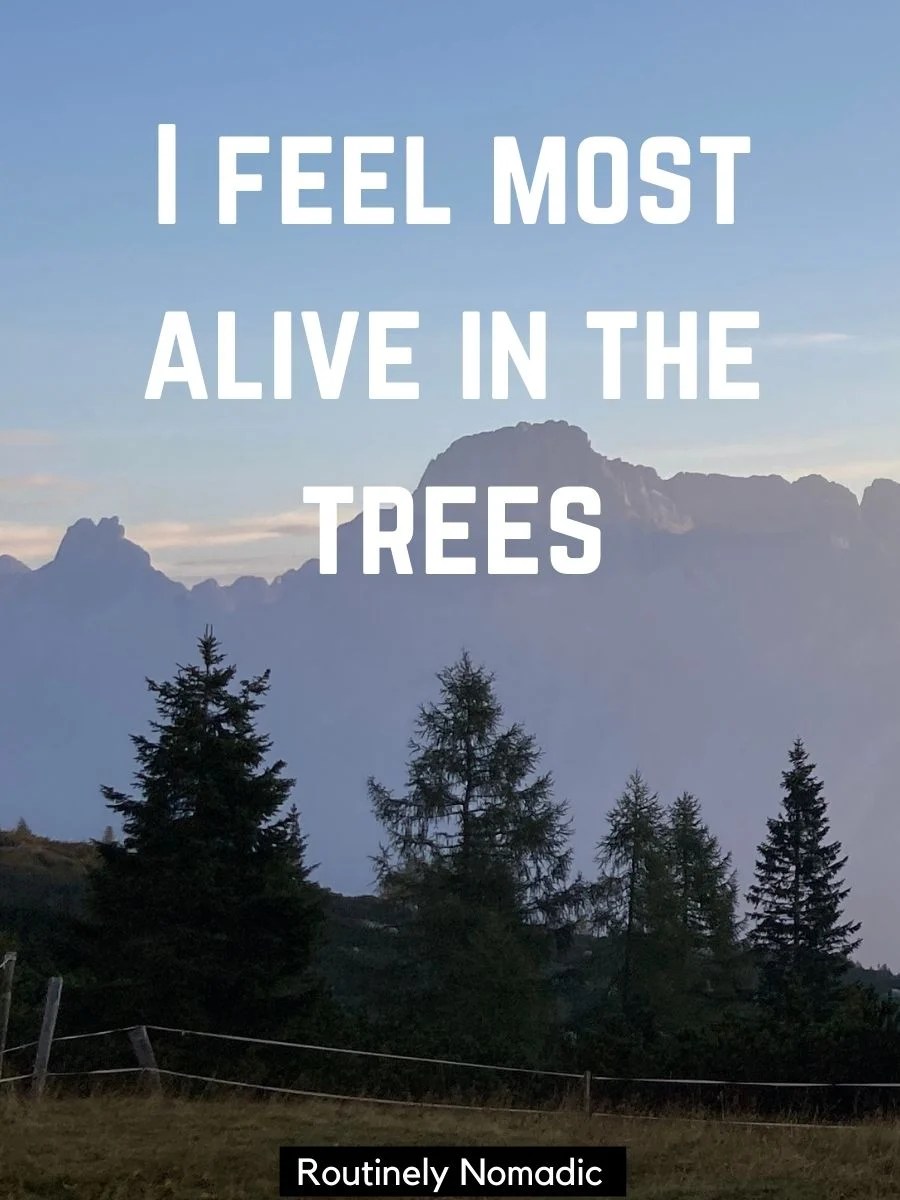 80 Best Captions for Nature Photography and Quotes Routinely Nomadic