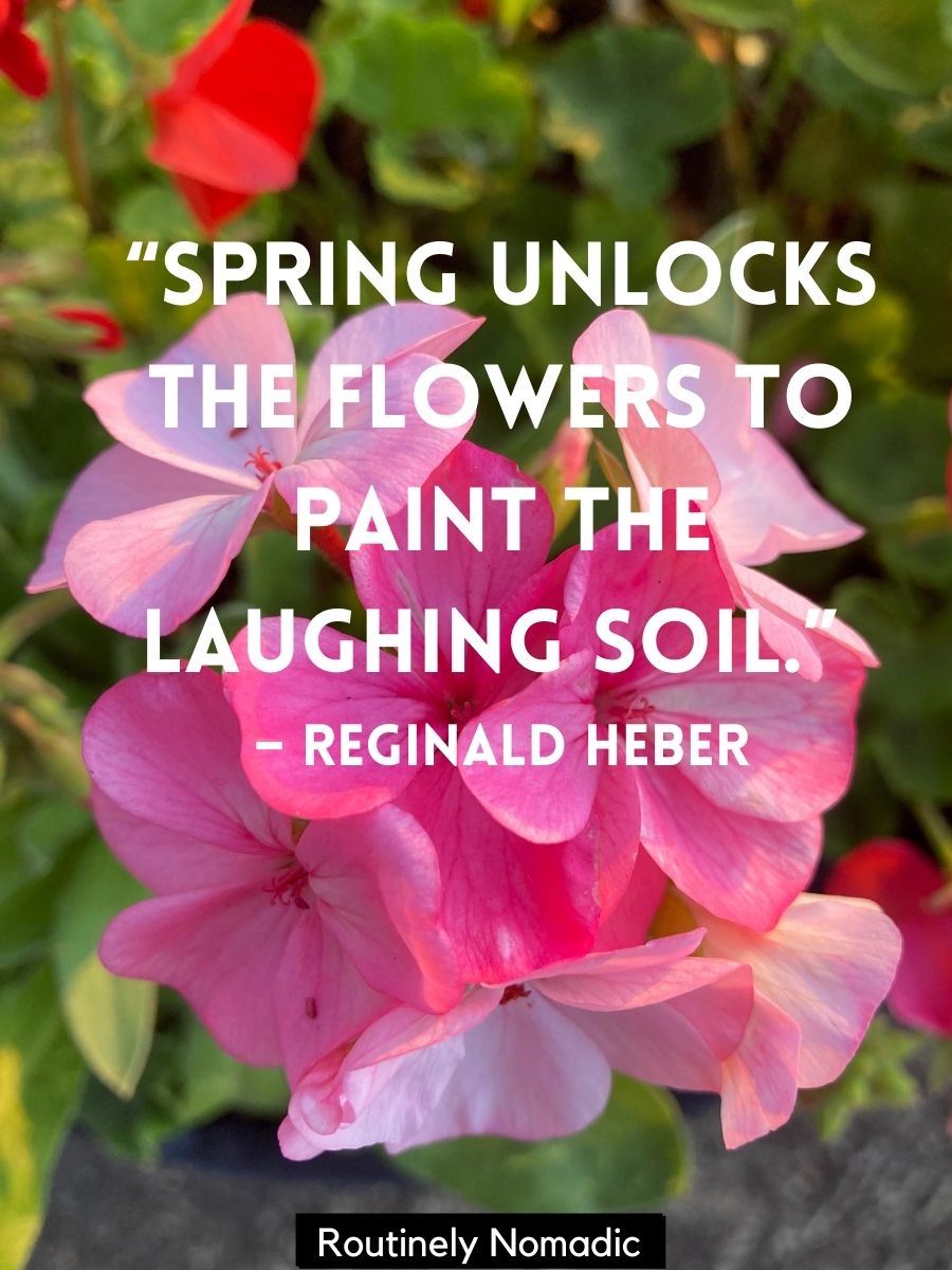 115 Funny Quotes About Spring Routinely Nomadic