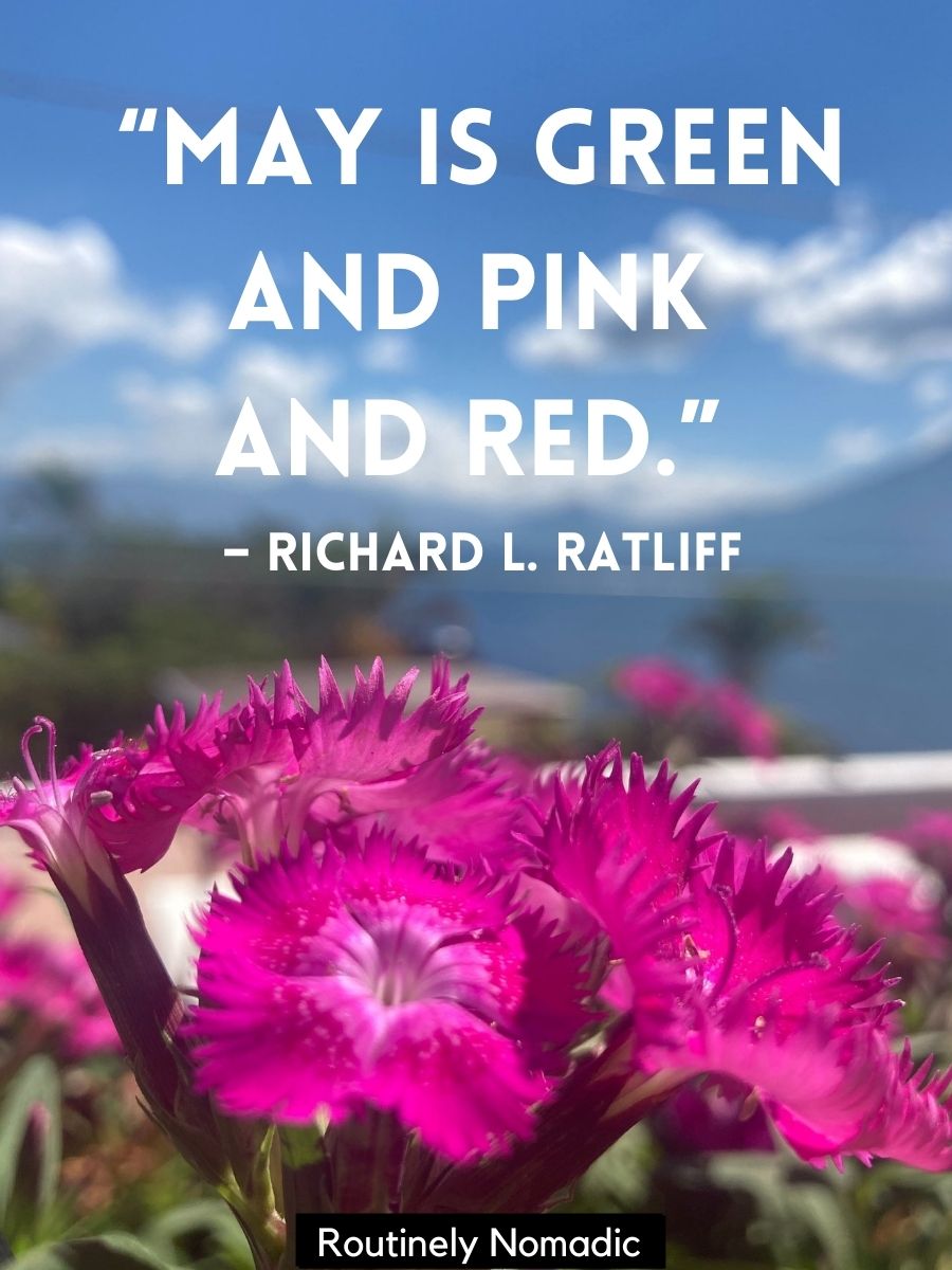 Perfect May Quotes 215 May Sayings Routinely Nomadic