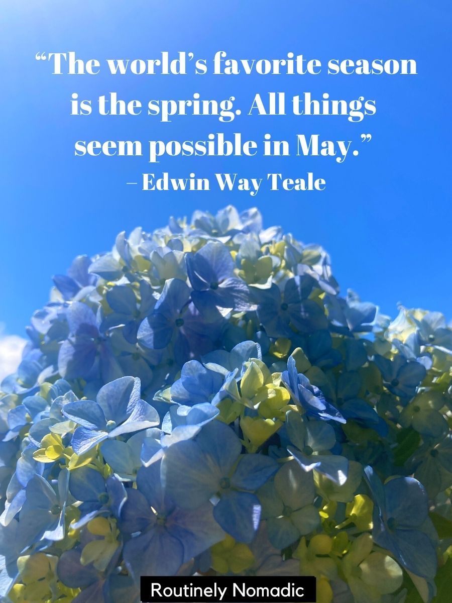 Perfect May Quotes 215 May Sayings Routinely Nomadic