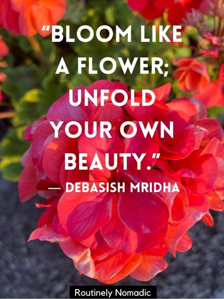 120 Bloom Quotes Perfect Blooming Flower Quotes for 2022 Routinely