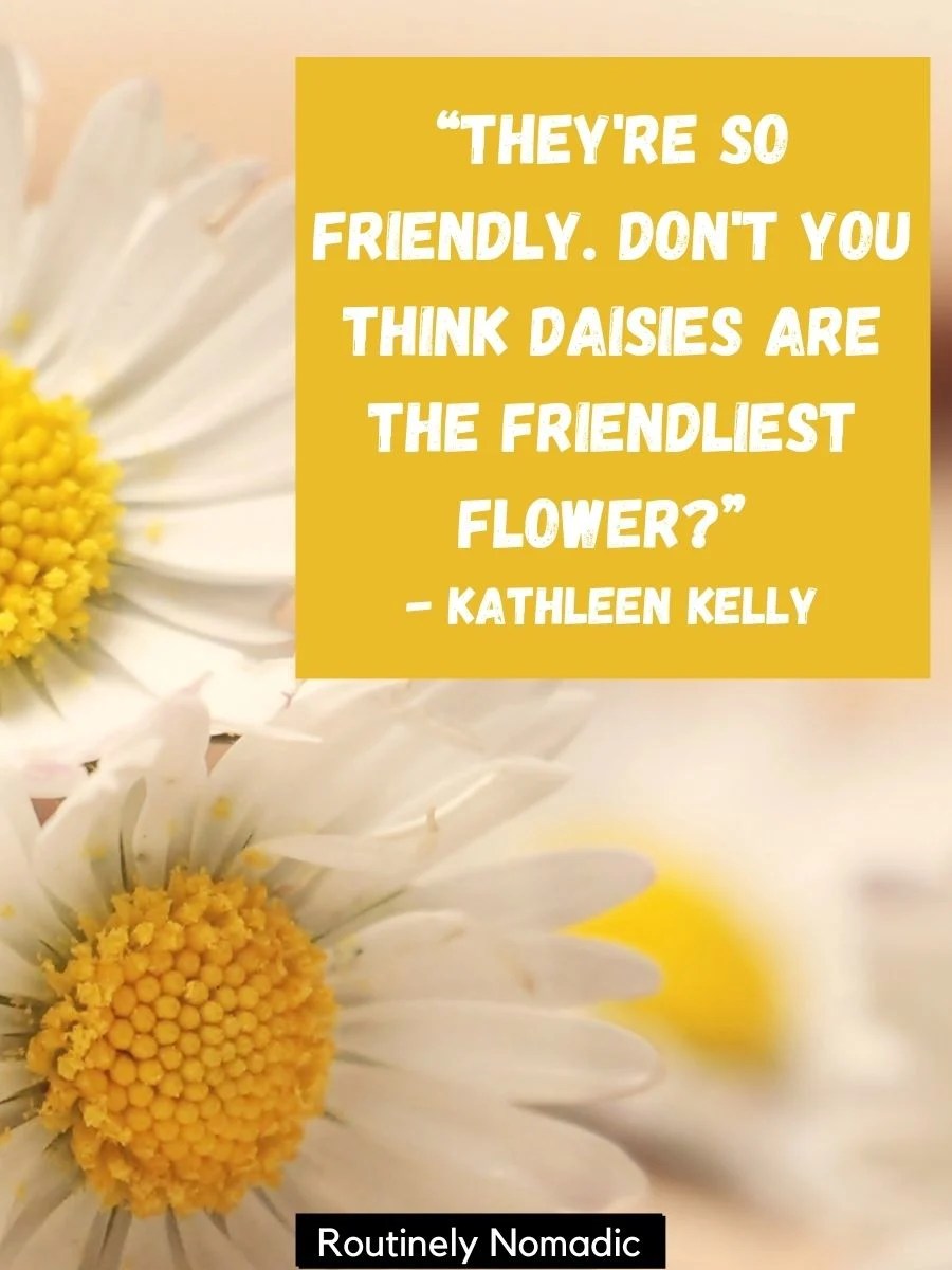 100 Captions About Flowers for Instagram Routinely Nomadic