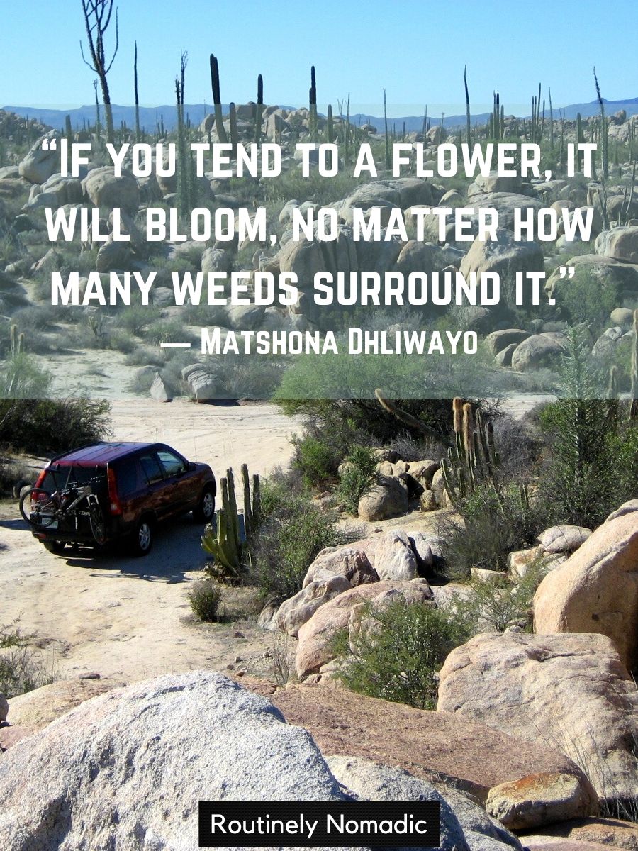 Perfect Desert Quotes 115 Desert Sayings Routinely Nomadic