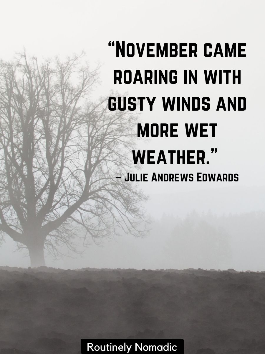 145 Best November Quotes Routinely Nomadic