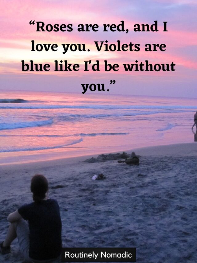 125 Best Roses are Red Violets are Blue Poems Routinely Nomadic