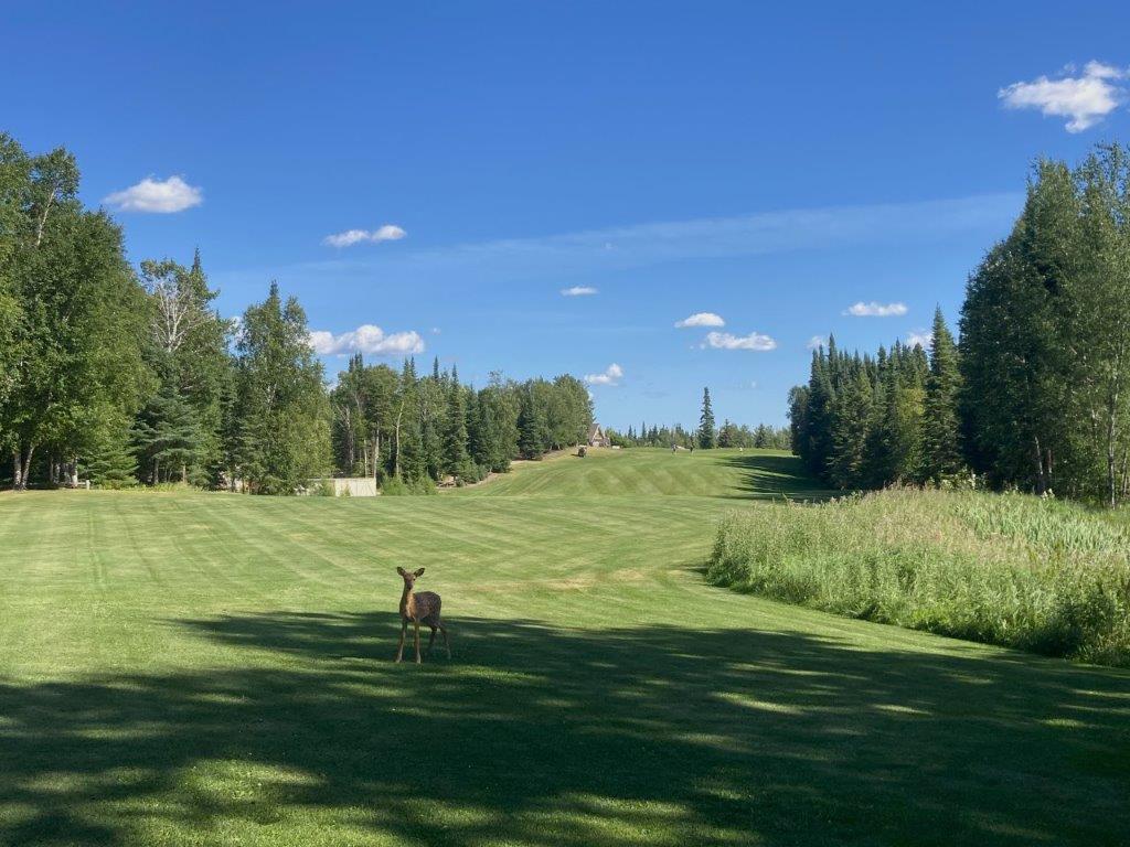 Saskatchewan Golf 4 Great Golf Trips Routinely Nomadic