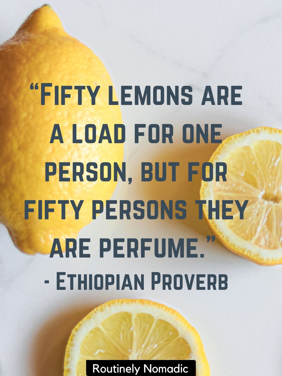 100 Best When Life Gives You Lemons Quotes Routinely Nomadic