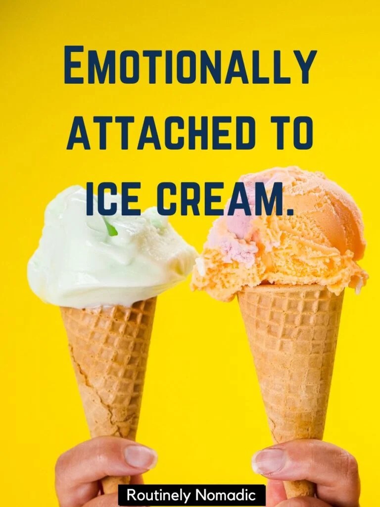 145 Sweet Ice Cream Captions (With Quotes and Puns) Routinely Nomadic