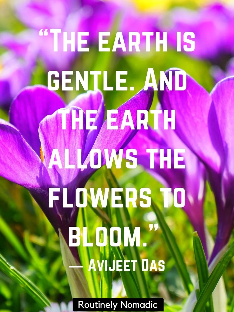100 Bright Spring Flower Quotes Routinely Nomadic